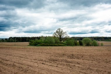 Baharda sürülen tarlalar ekime hazır..