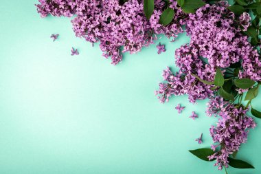 Yeşil arka planda leylak dalları ve çiçekleri. Bahar için kart, Paskalya, Anneler Günü, Kadınlar Günü, Sevgililer Günü.