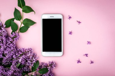 Pembe arka planda bahar leylak dalları ve cep telefonu. Bahar için kartlar, Paskalya, Anneler Günü, Kadınlar Günü, Sevgililer Günü.