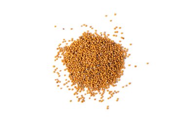 Beyaz arkaplanda izole edilmiş turp tohumları.