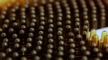 Aşı üretim atölyesi, ilaç şirketi