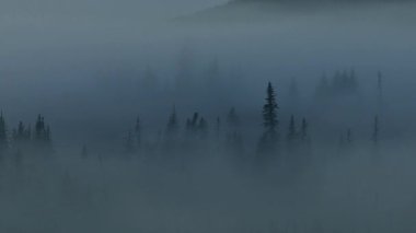 Güzel manzara, orman, dağlar, doğa.