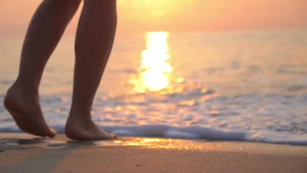Młoda Piękna Kobieta Bikini Plaży — Wideo stockowe