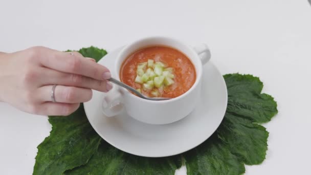 Gemüsecremesuppe Mit Gewürzen — Stockvideo