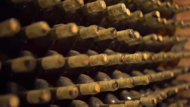 Many Old Bottles Wine — Stock Video