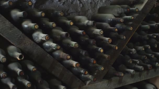 Wiele Starych Butelek Wina — Wideo stockowe