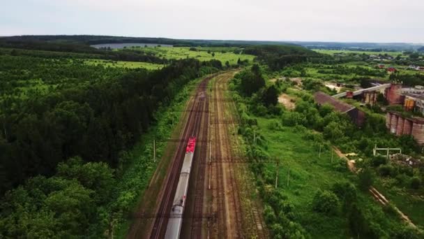 Krásná Krajina Les Hory Příroda — Stock video