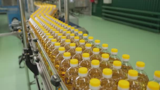 Sonnenblumenöl Produktion Nahaufnahme Von Ölflaschen Auf Dem Förderband — Stockvideo