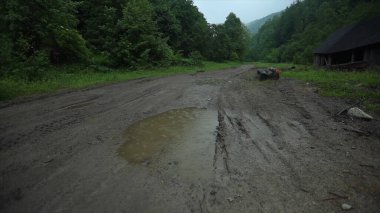Ufukta büyük bir su birikintisi ve orman olan yağmurlu bir yolun fotoğrafı. Yolun sağında kütükler ve eski bir bina var..