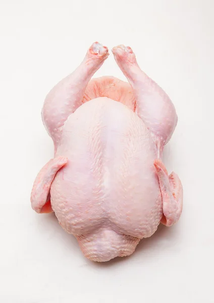 Chicken body — Stock Photo, Image