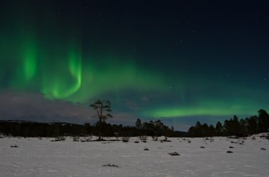Kuzey ışıkları (Aurora borealis)