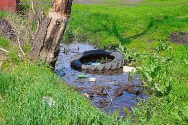 Dünyanın doğası olduğu