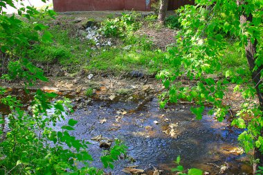 İnsanlar Çevre kirliliğine