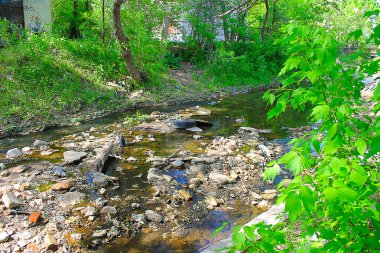 İnsanlar Çevre kirliliğine