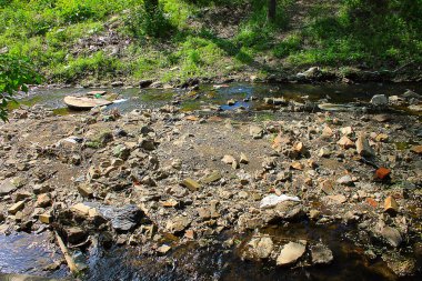 İnsanlar Çevre kirliliğine