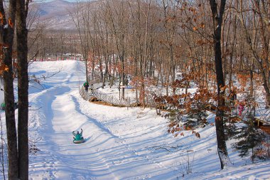 soğuk kış doğası