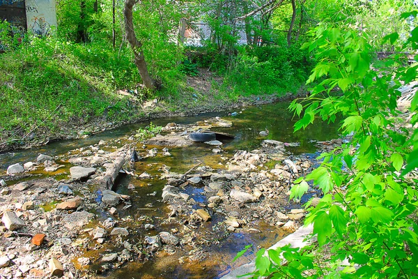 İnsanlar Çevre kirliliğine