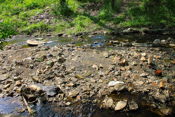 İnsanlar Çevre kirliliğine