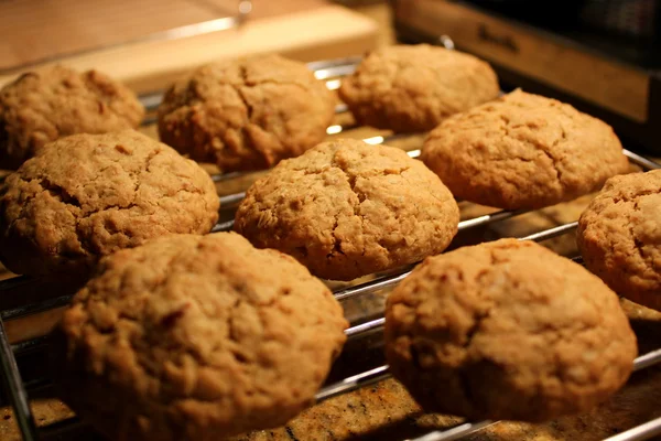 Galletas Imágenes de stock libres de derechos