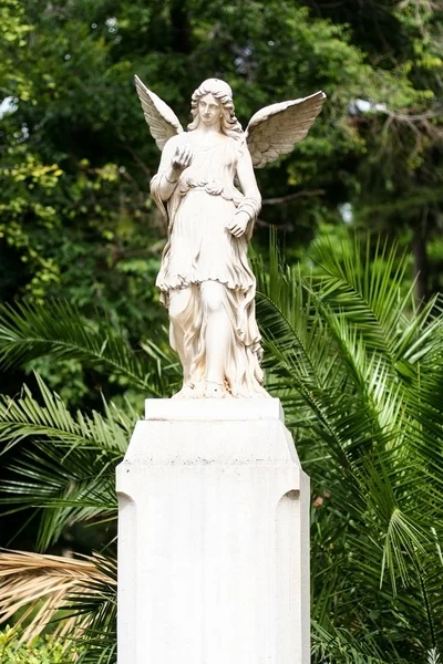 Estátua do anjo Fotos De Bancos De Imagens