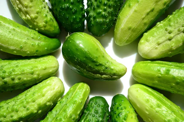 Green cucumbers — Stock Photo, Image