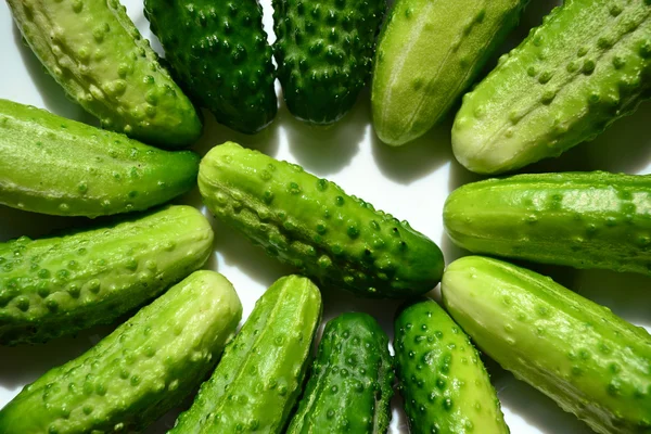 Green cucumbers — Stock Photo, Image