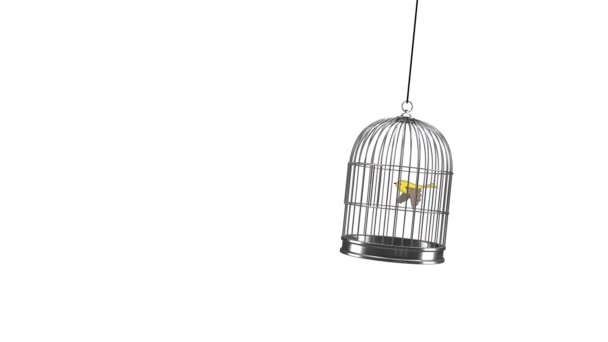 Animation Dessinée Main Petit Oiseau Volant Hors Une Cage Oiseaux — Video