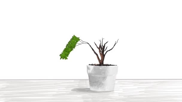 Animação Desenhada Mão Pequena Planta Vaso Forma Gráfico Crescente — Vídeo de Stock