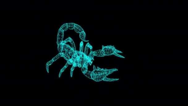 Animation Wireframe Scorpion Forestier Dans Une Posture Agressive — Video