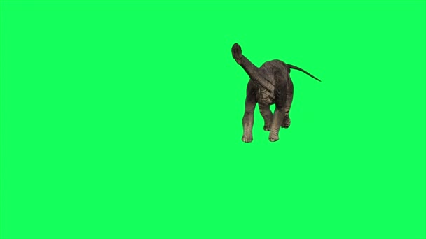 Animation Brachiosaurus Walking Green Screen Background — стокове відео