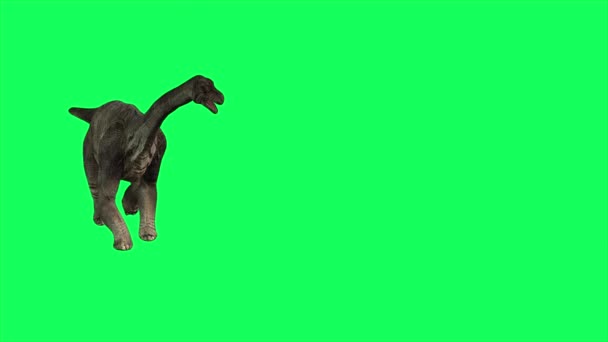 Animación Brachiosaurus Caminando Sobre Fondo Pantalla Verde Dinosaurios Del Mundo — Vídeo de stock