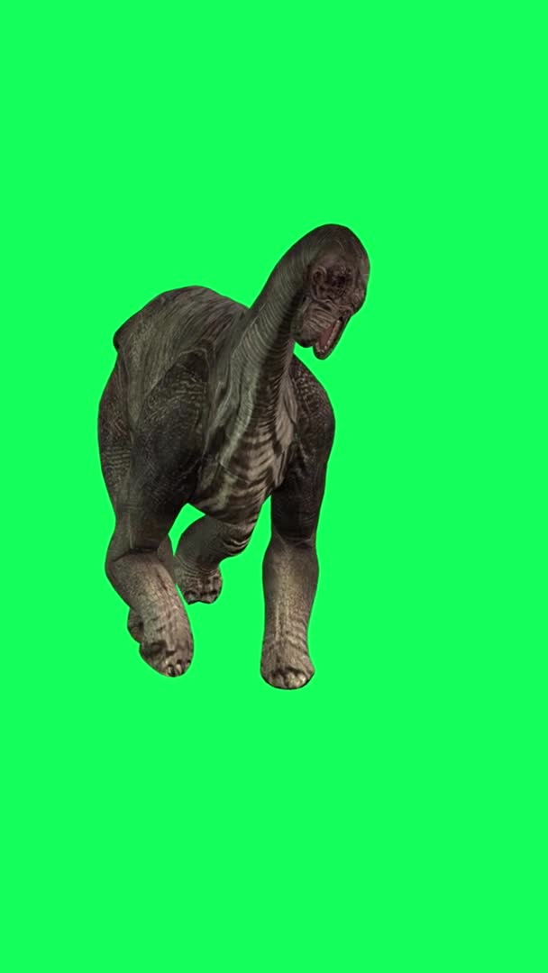 Animación Vertical Vídeo Brachiosaurus Caminando Sobre Fondo Pantalla Verde — Vídeo de stock