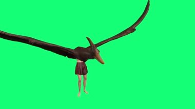 4k animasyon - karakter kombinasyonu kız ve pterodactylus yeşil ekranda dans