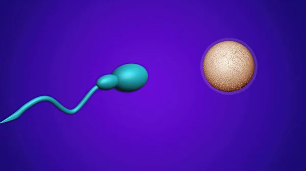 3D illustration - sperm and fertile human egg. Insemination concept.