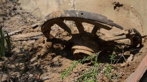 Eski araba tekerleği Toprakla kaplanmış 