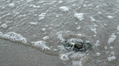 Beyaz kumsaldaki kayaların üzerindeki küçük dalgaları kapatın.