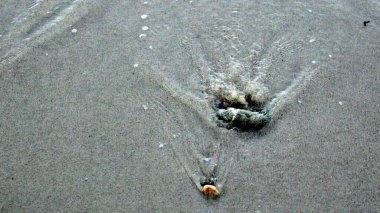 Beyaz kumsaldaki kayaların üzerindeki küçük dalgaları kapatın.