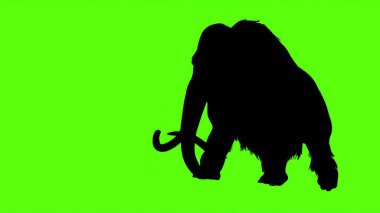 3D görüntüleme - Yeşil Ekranda Mamut Saldırıları Tarafının Silüeti