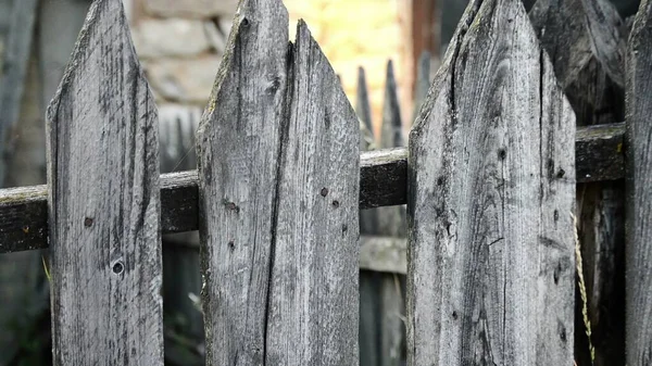 Old wooden fence, covered with a lichen and nails