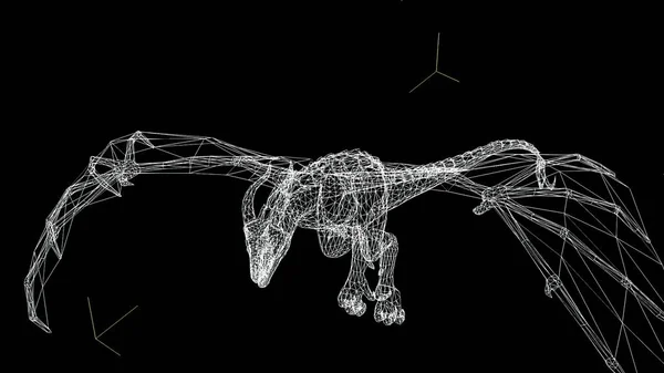 Armação Arame Dragão Mosca Separados Scree Preto — Fotografia de Stock