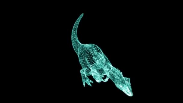 Wireframe Animazione Allosaurus Walking Sfondo Nero Dello Schermo Mondo Dei — Video Stock