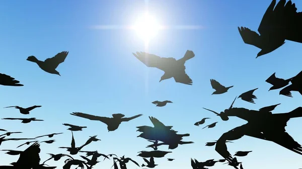 Illustration Flock Birds Flying Screen — Stock Photo, Image