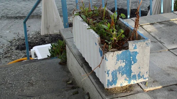3D插图 靠海的肮脏生锈的蓝色金属栏杆 — 图库照片