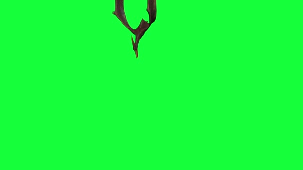 Pterodactyl Fly Animation Green Screen — Stock Video