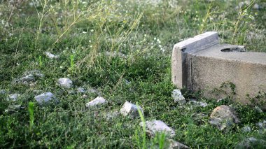 3D illüstrasyon - Papatya çiçekleri ve eski harap sütunlarla panoramik sahneyi kapat 