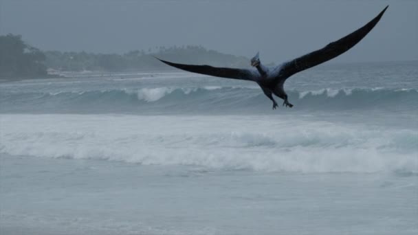 Üzerinde Uçan Pterodactyl Animasyonu — Stok video