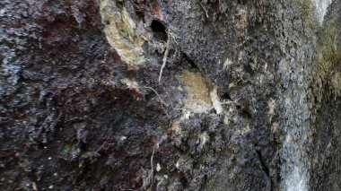 Renkli Grunge Doku Arkaplanı