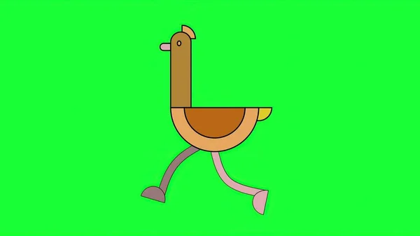 ภาพ Ostrich นบนหน าจอส — ภาพถ่ายสต็อก