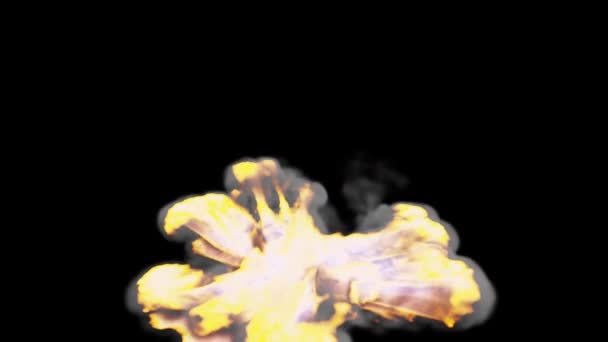 Animatie Van Fire Ball Explosion — Stockvideo