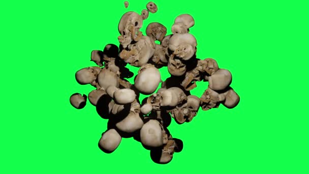 Human Skulls Rotating Flying Green Sceen — Stok video